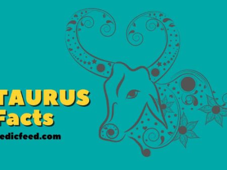 Taurus Personality Traits and Date of Birth