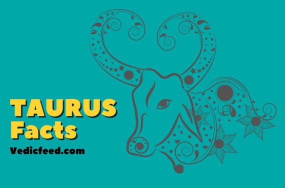 Taurus Personality Traits and Date of Birth