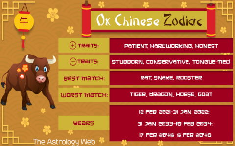 Ox Taurus Myths Debunked (Common Stories About Both Signs Explained)