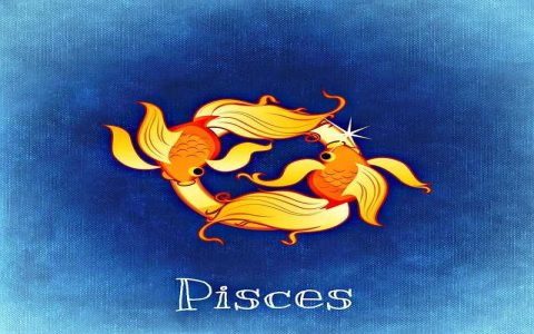 Sun in Leo Pisces Rising Career Tips: Best Jobs for You