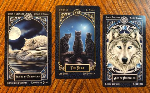 What does queen of wands as feelings mean? key interpretations revealed here.