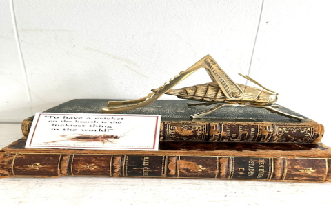 Are crickets good luck? Discover why crickets bring fortune signs easily!