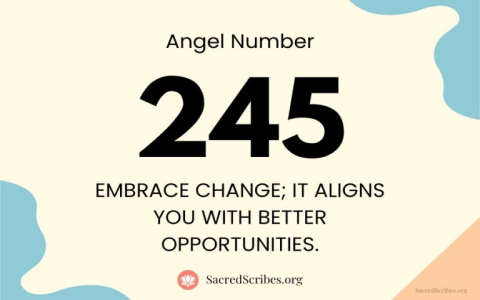 141 Angel Number Love Meaning Explained: 3 Signs Your Path is Shifting