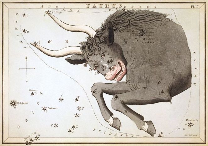 Ox Taurus Myths Debunked (Common Stories About Both Signs Explained)